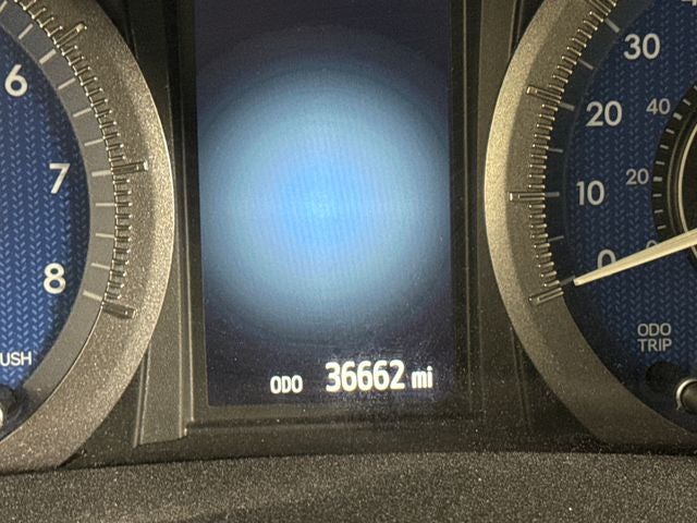 2019 Toyota Sienna L 7 Passenger