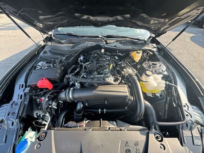 2025 Ford Mustang EcoBoost Premium