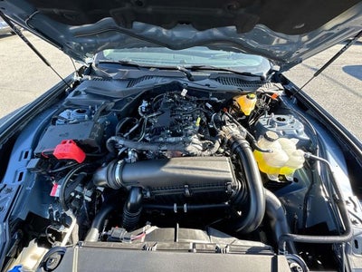 2025 Ford Mustang EcoBoost Premium