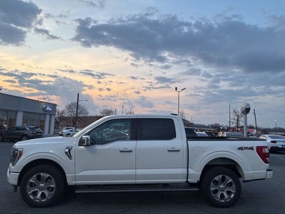 2023 Ford F-150 Platinum