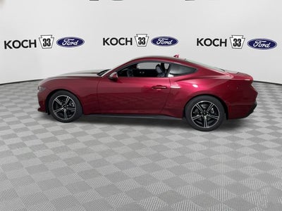 2025 Ford Mustang EcoBoost