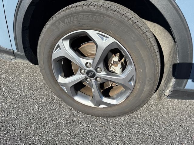 Photo 11