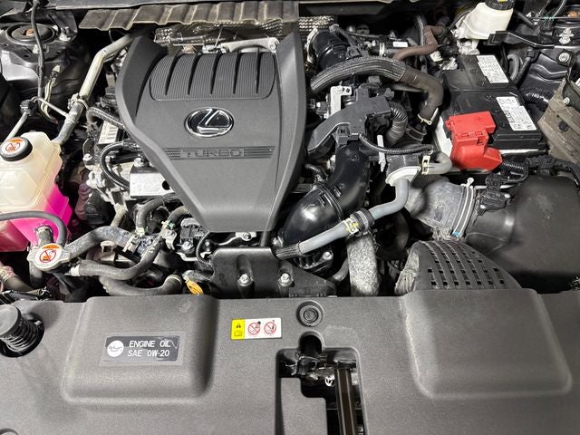 Photo 45