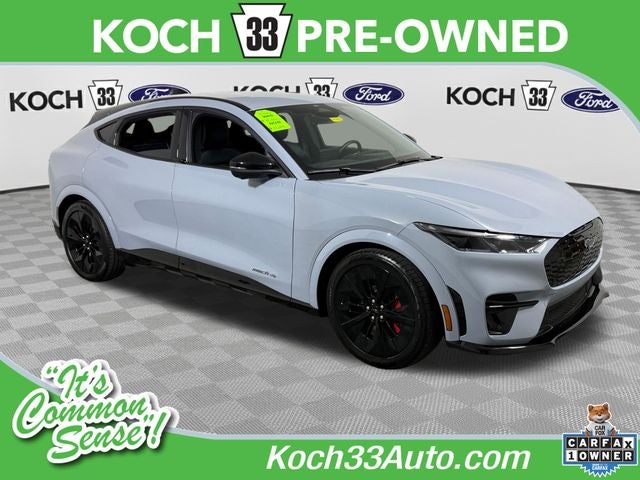 2025 Ford Mustang-Mach-e GT's photo